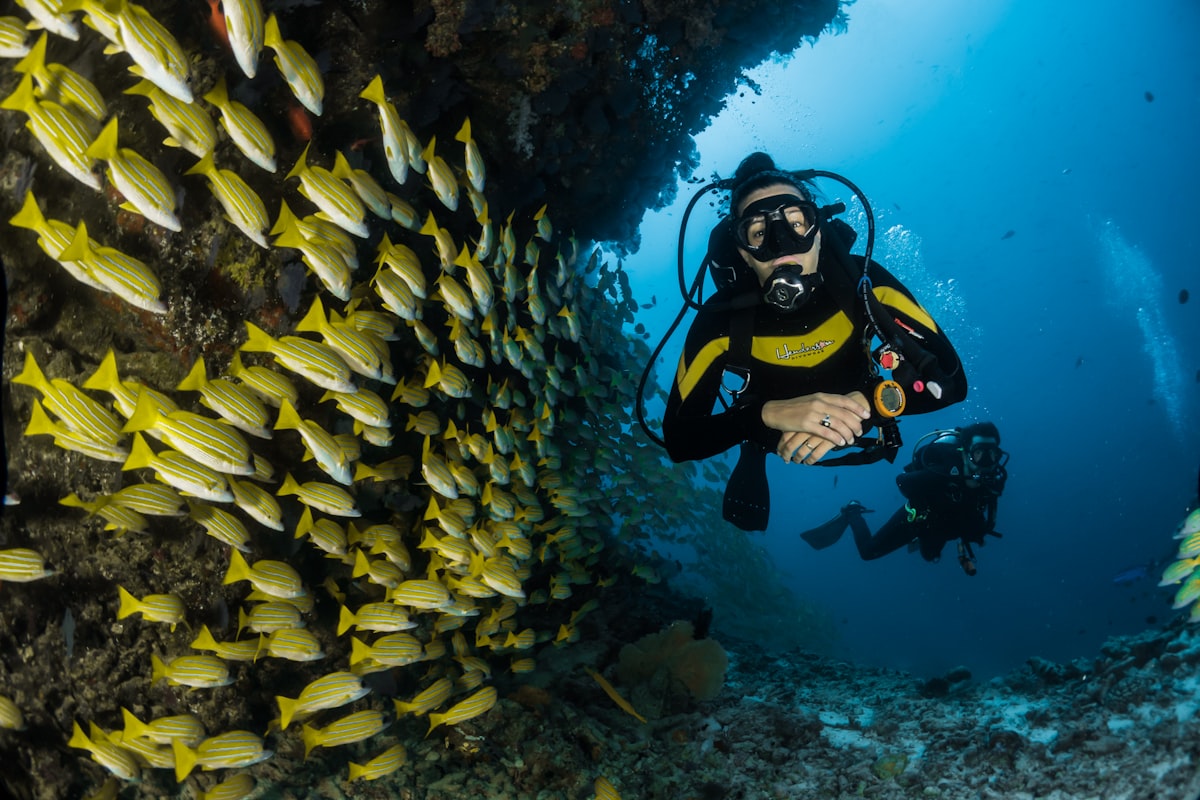 Exploring the underwater paradise of Costa Brava Scuba diver exploring crystal clear waters